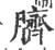 臍(印刷字体·宋·广韵)