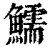 鱬(印刷字体·清·康熙字典)