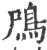 鳲(印刷字体·宋·广韵)