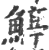 𩹇(印刷字体·宋·广韵)