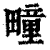 疃(印刷字体·清·康熙字典)