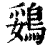 鵎(印刷字体·清·康熙字典)