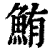 鲔(印刷字体·清·康熙字典)