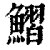 鳛(印刷字体·清·康熙字典)