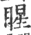 睲(印刷字体·宋·广韵)