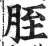 胵(印刷字体·明·洪武正韵)