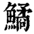 鱊(印刷字体·清·康熙字典)