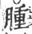 腫(印刷字体·宋·广韵)