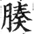 腠(印刷字体·明·洪武正韵)