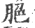 脃(印刷字体·宋·广韵)