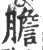 膽(印刷字体·宋·广韵)