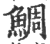 鲷(印刷字体·宋·广韵)