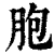 胞(印刷字体·清·康熙字典)