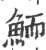 鲕(印刷字体·宋·广韵)