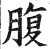 腹(印刷字体·明·洪武正韵)