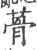 蓇(印刷字体·宋·广韵)