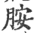 胺(印刷字体·宋·广韵)