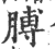 膊(印刷字体·宋·广韵)