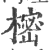 樒(印刷字体·宋·广韵)