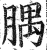 腢(印刷字体·明·洪武正韵)