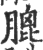 膍(印刷字体·宋·广韵)